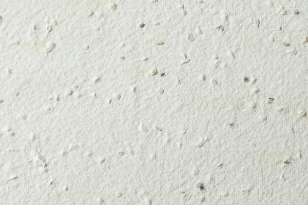 muestrario papel plantable semillas