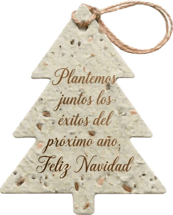 Navidad 2026
